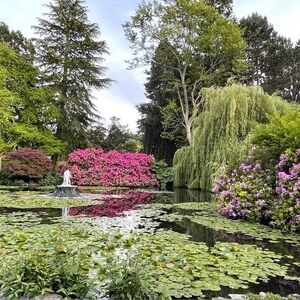 Meet your Posher, Darby